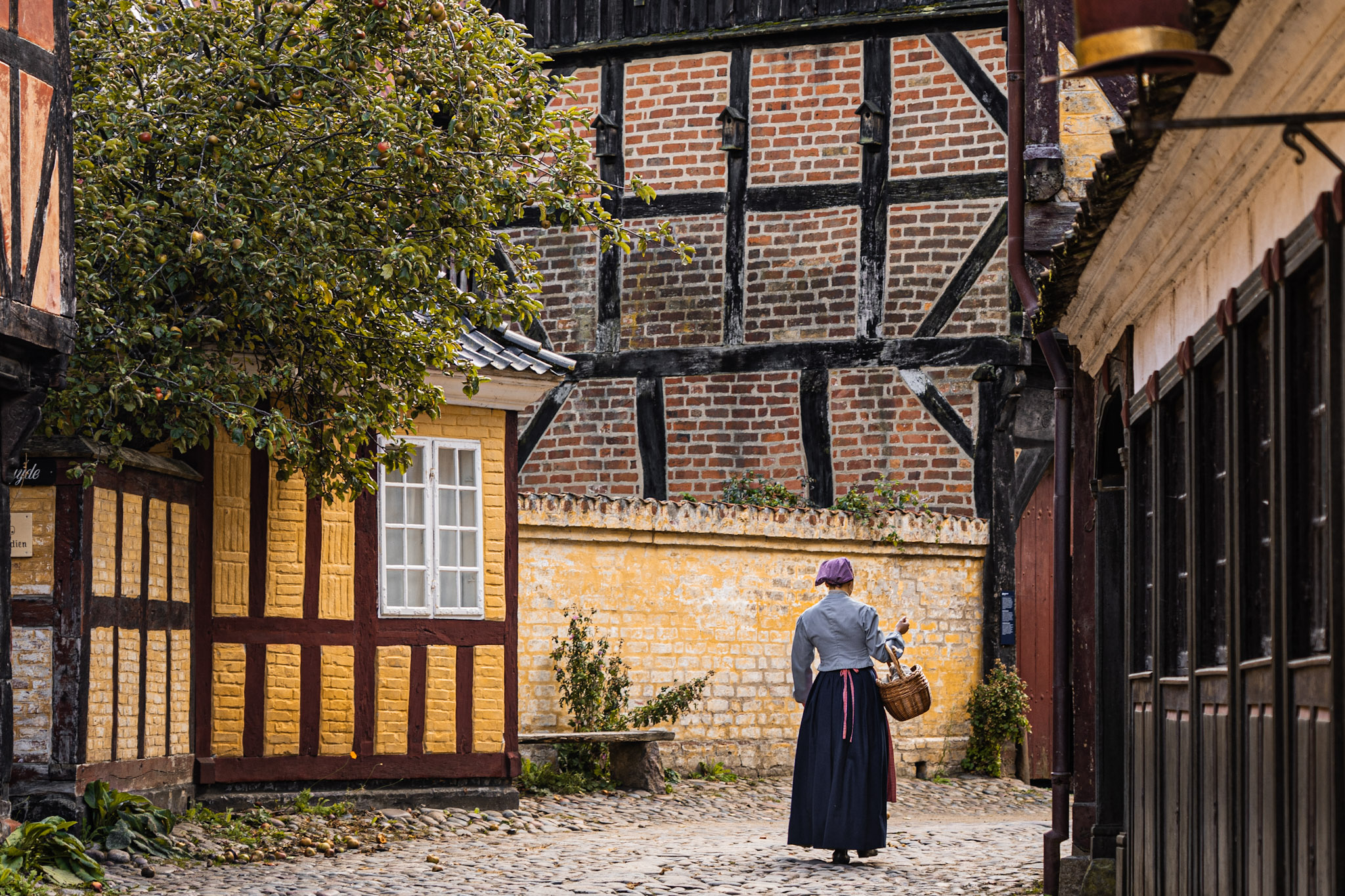 Gesundheit und Krankheit