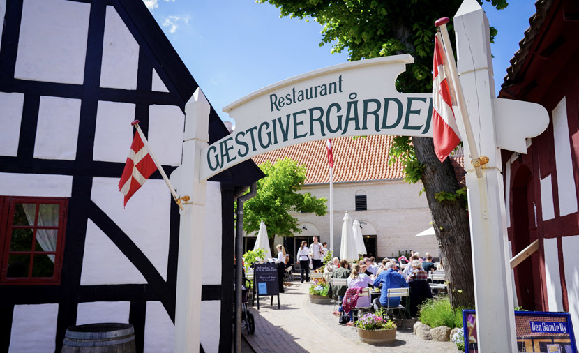 Frivillig vært eller værtinde