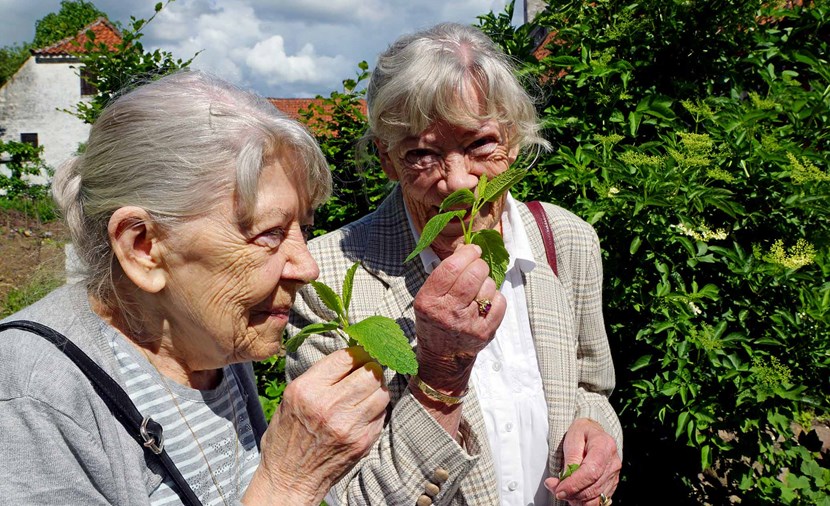 Til kaffe <br> i haven