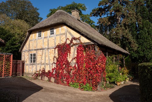 Gartnerhus i efteråret