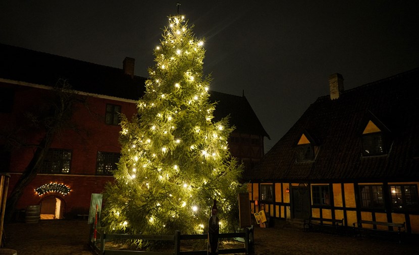 Den Gamle Bys Julebuffet